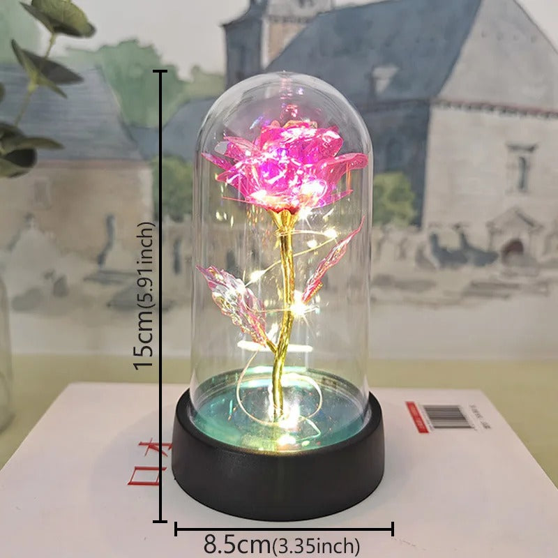 EternalGlow Rose Dome