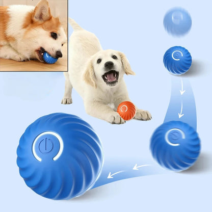 PawMotion™ Smart Play Ball