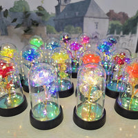 EternalGlow Rose Dome
