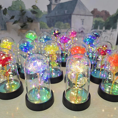 EternalGlow Rose Dome