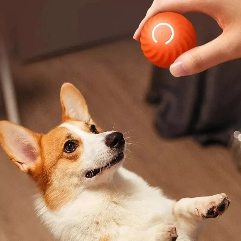 PawMotion™ Smart Play Ball