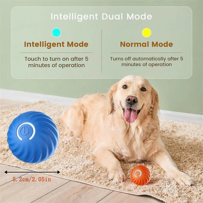 PawMotion™ Smart Play Ball